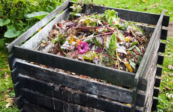Compost bin in the garden