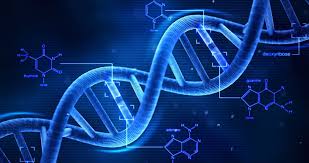 Izolovanje DNK iz biljaka 1