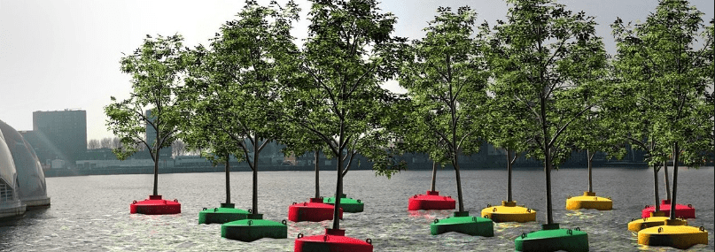 Roterdamska plutajuća šuma: U službi spašavanja drveća 99