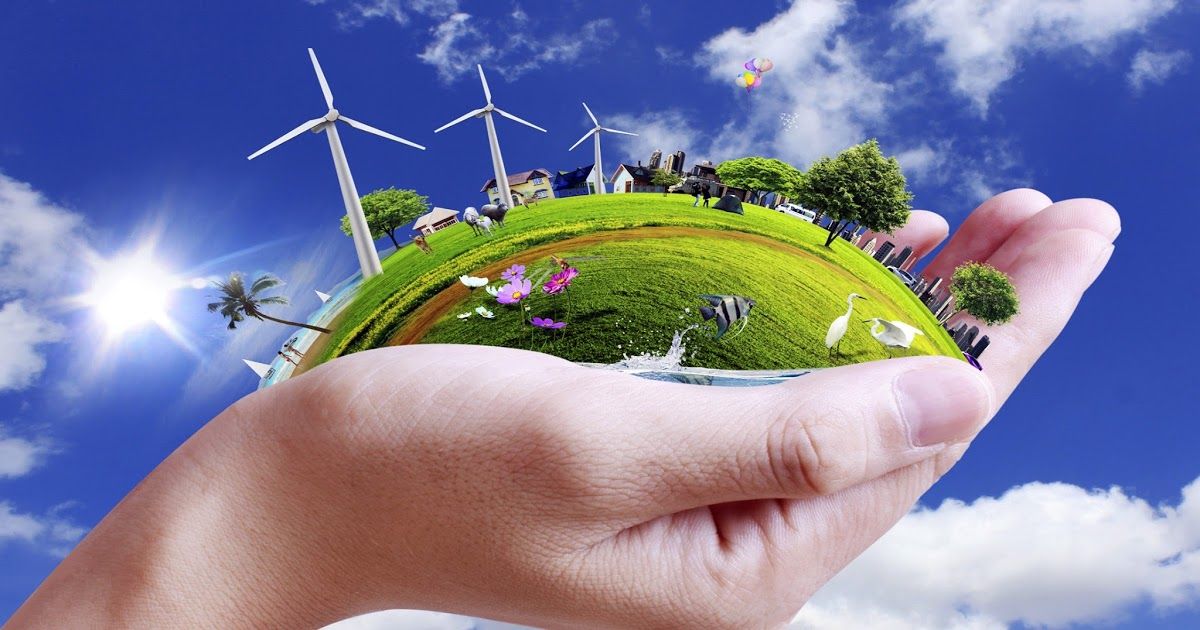 Read more about the article Rast i ekologija: Ključna pitanja održivog razvoja