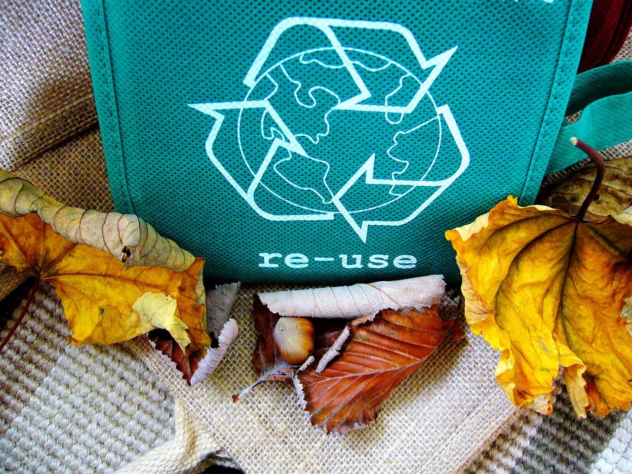 Zaštitimo okoliš pomoću reciklaže i kreativnosti 1