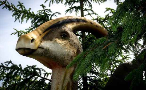 Нова студија о исхрани џиновских диносауруса биљоједа 4