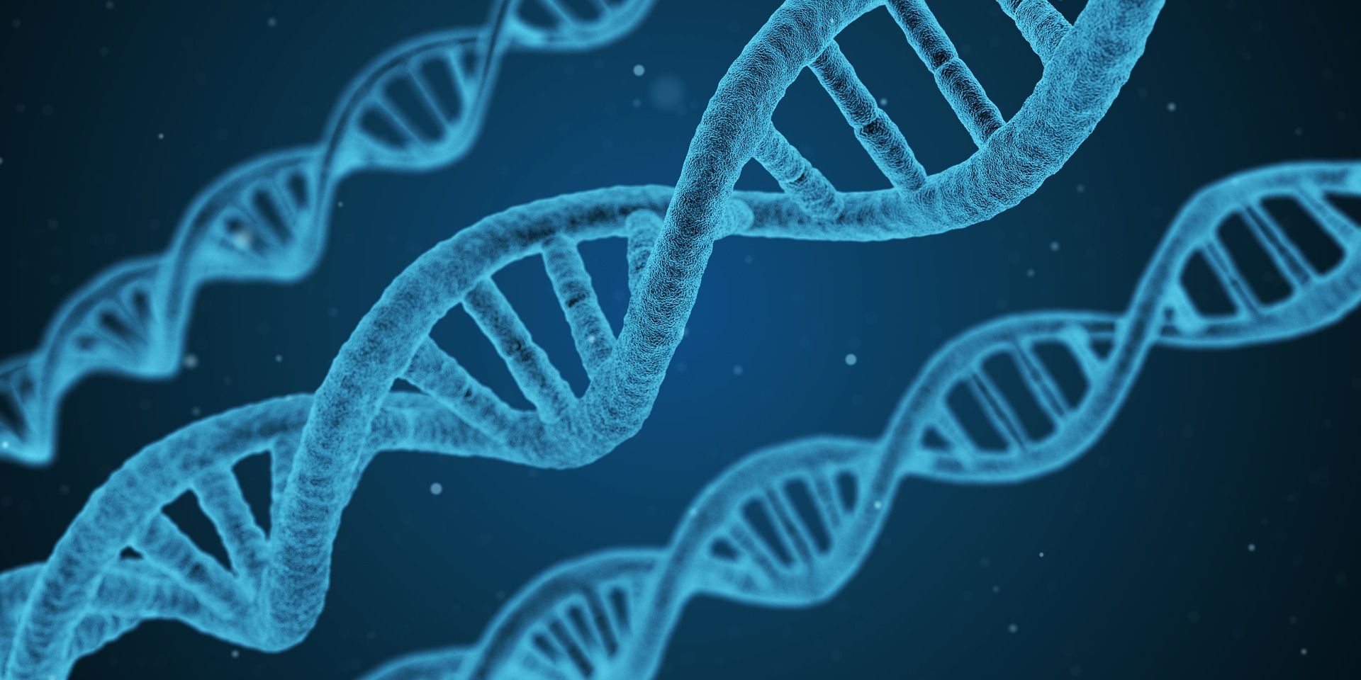 Read more about the article Будућност технологије „поправљања“ гена