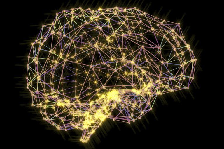 Сваки људски мозак је јединствен попут отиска прста, кажу неуролози 2