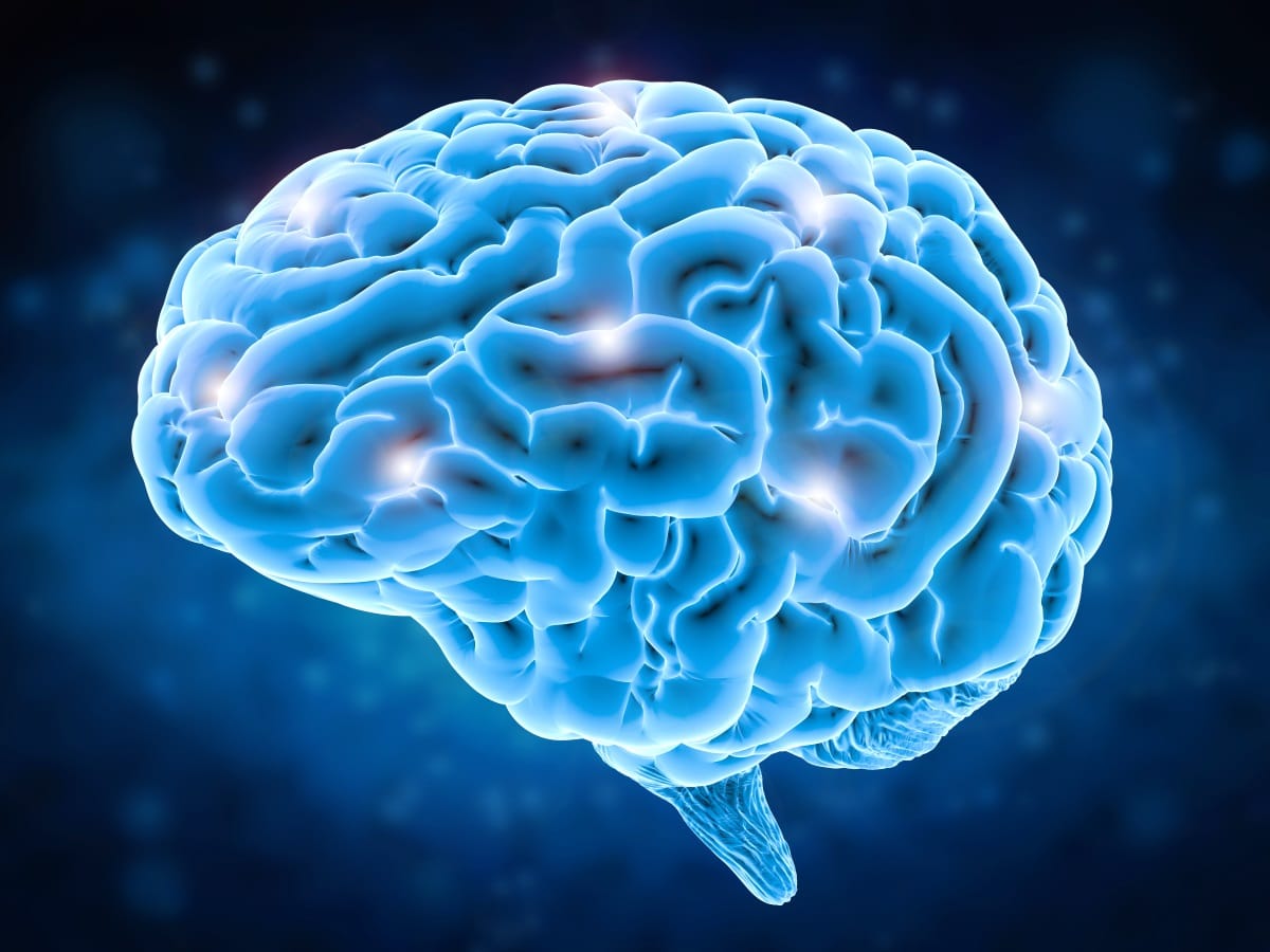 Read more about the article Да ли генетика утиче и на величину мозга?